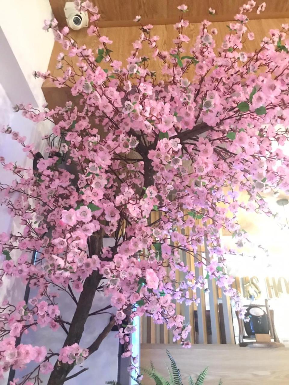 路易斯酒店-碧云步行街 胡志明市 外观 照片